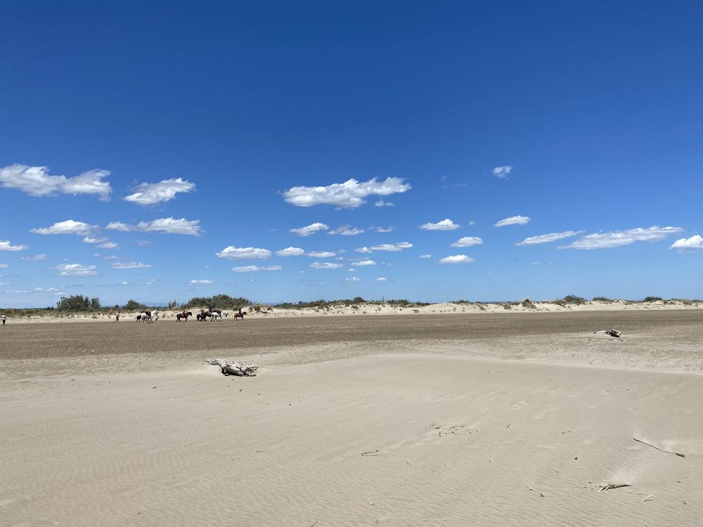 Wide sandy beach and dunes