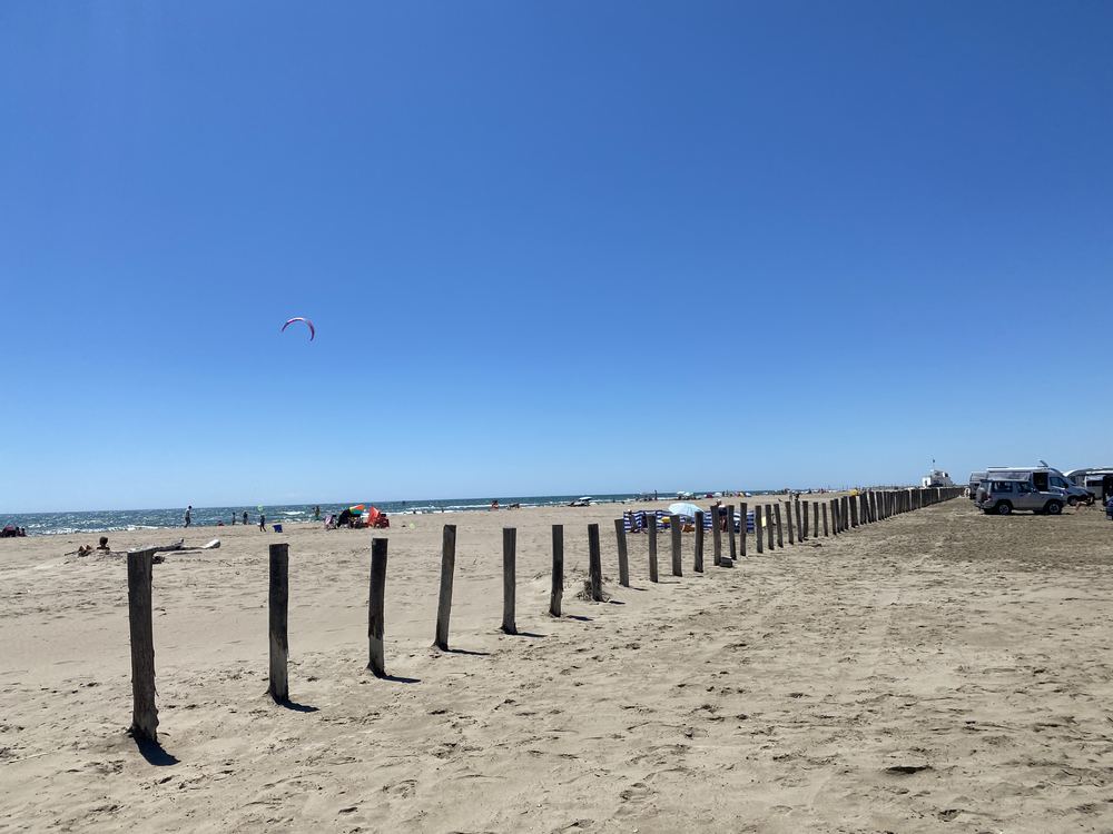Beach with wooden posts at Piémanson