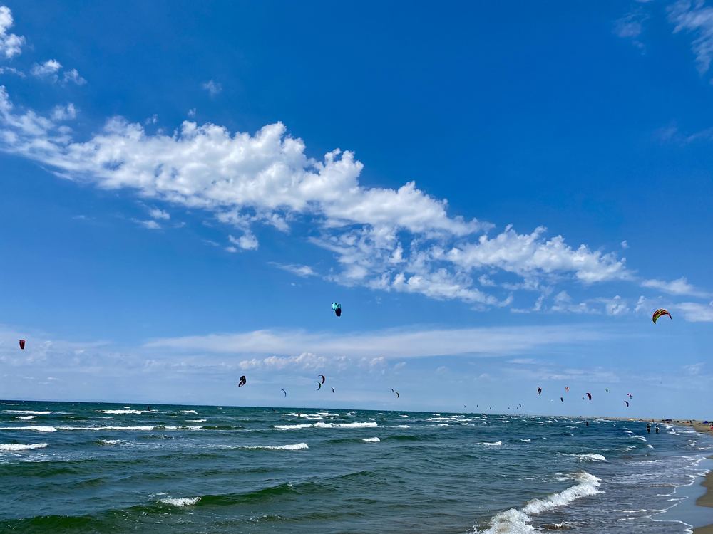 Kites over the sea under a blue sky