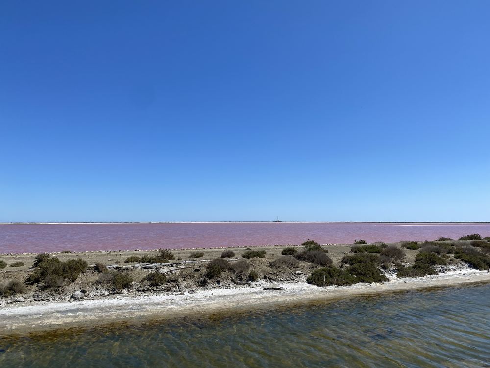 Pink water of the salt pans